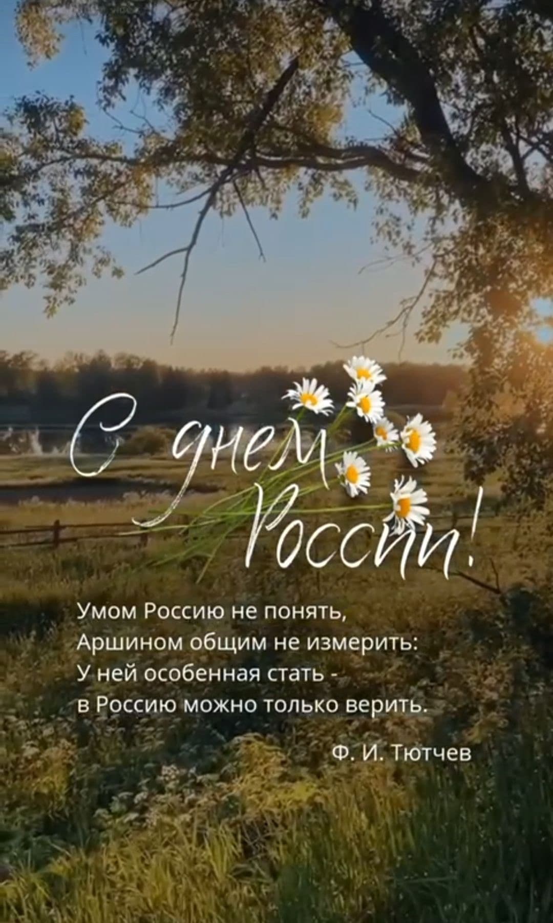 Порез