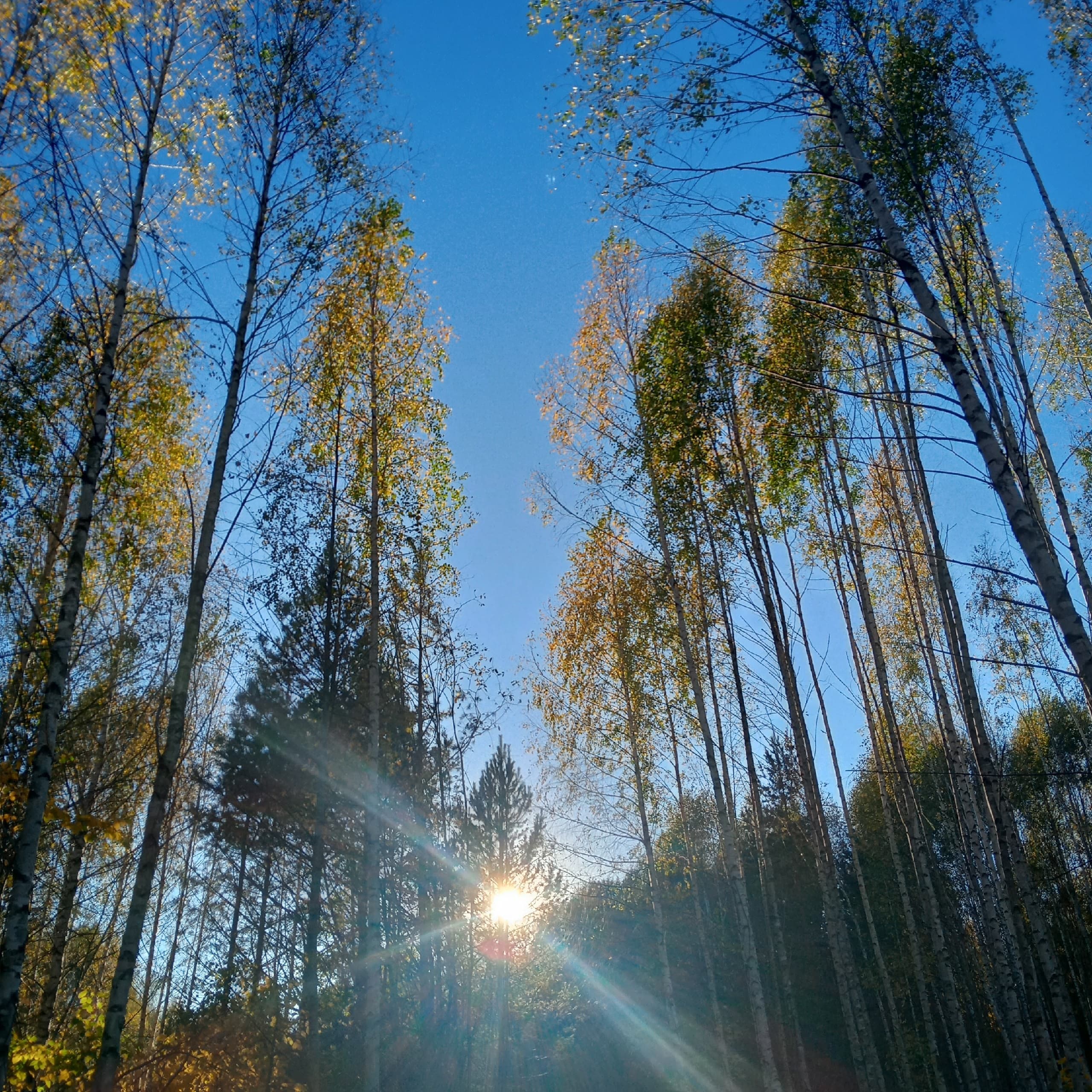 РЦКД Малмыж