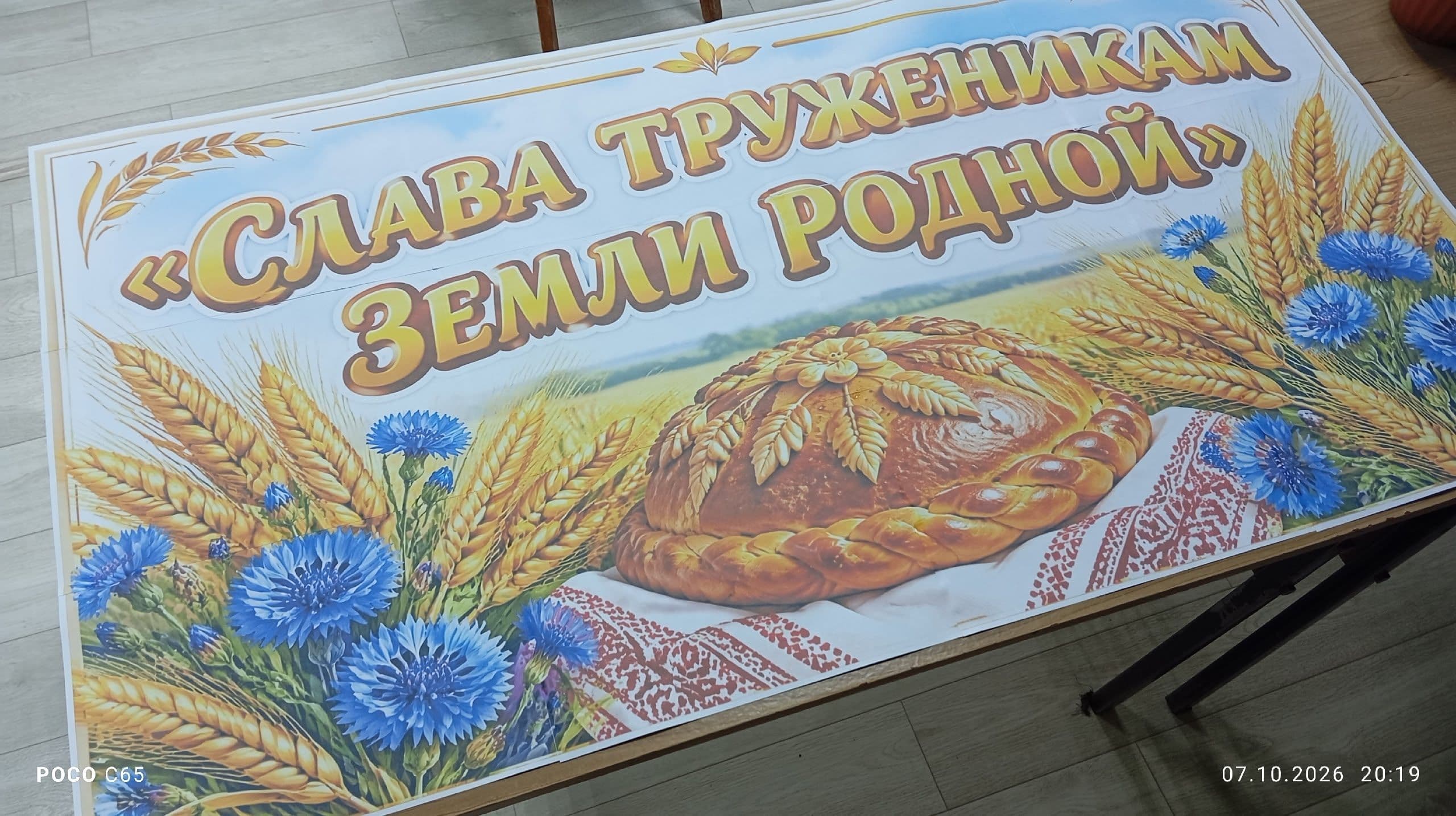 Библиотекарь-художник: портрет профессии