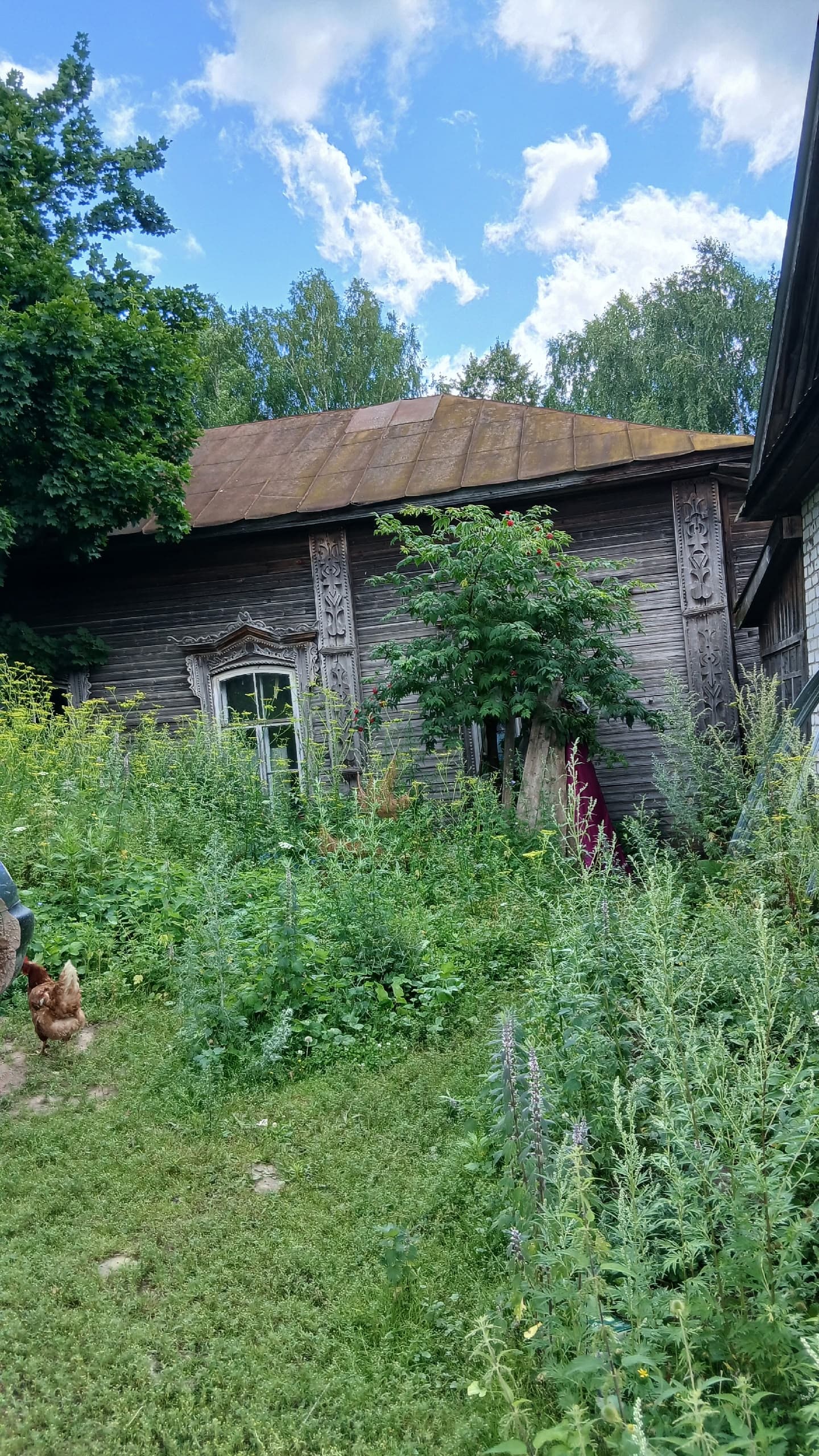 Арык