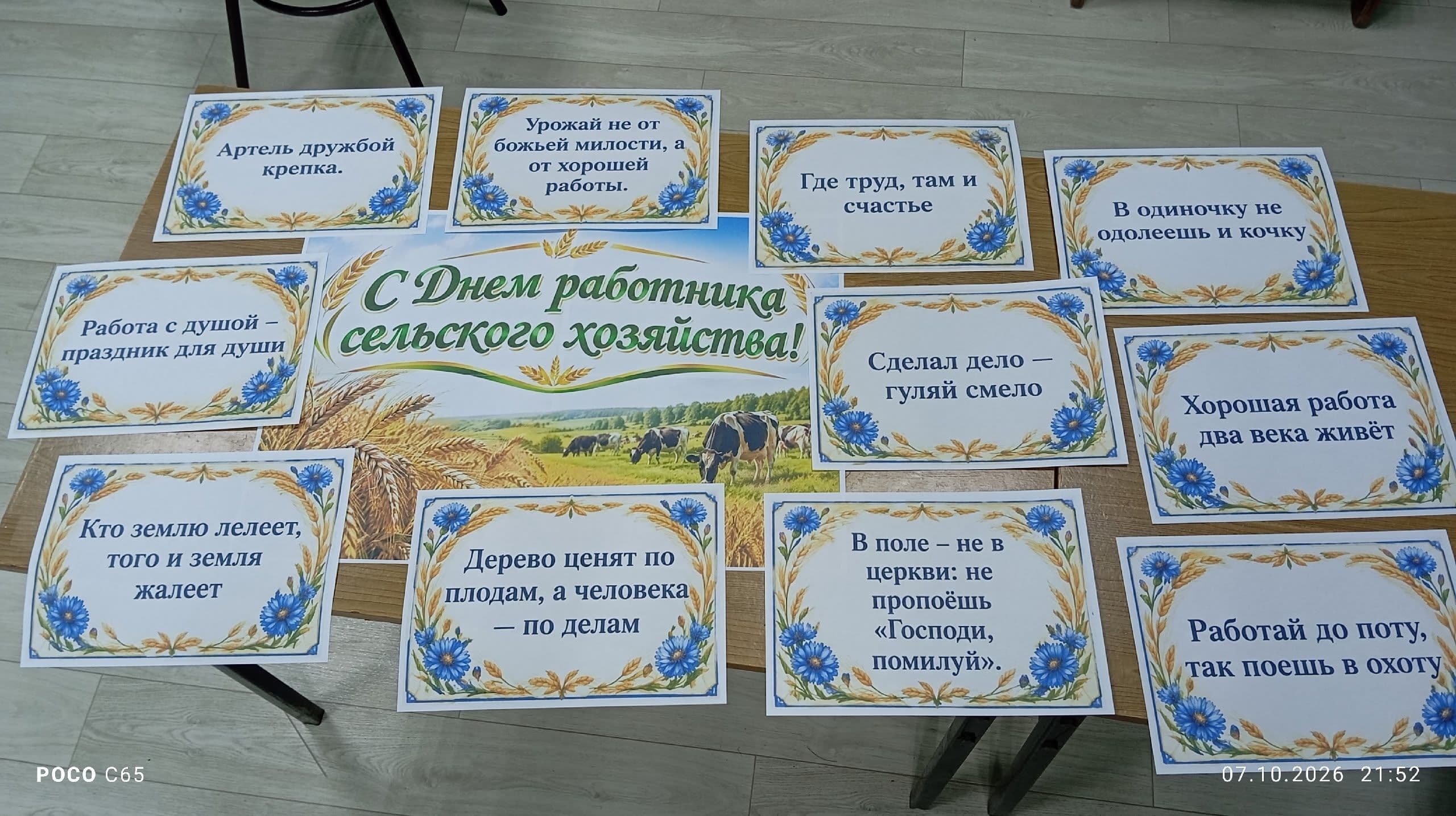 Библиотекарь-художник: портрет профессии