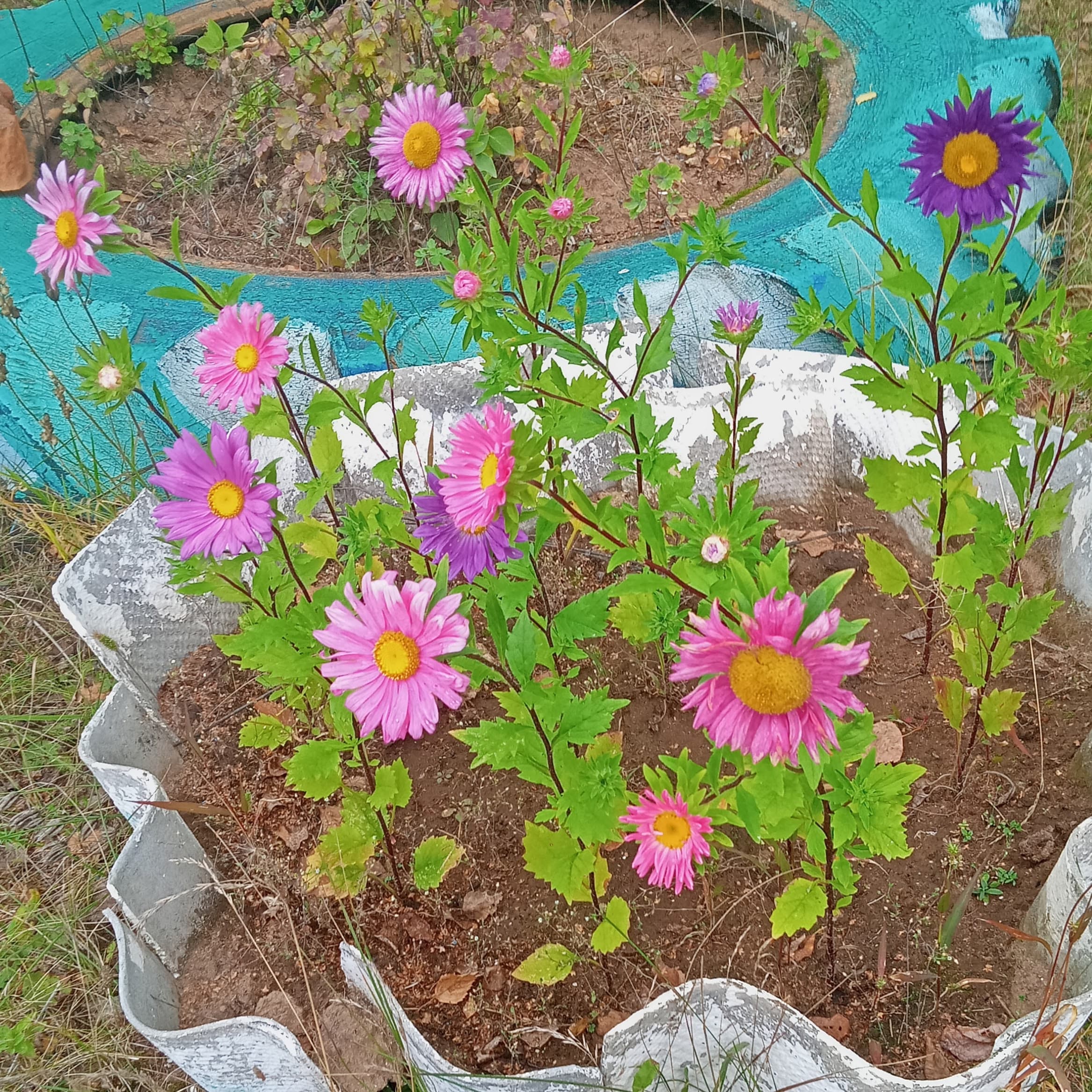 РЦКД Малмыж